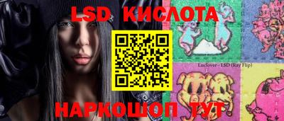 эйфоретик Будённовск