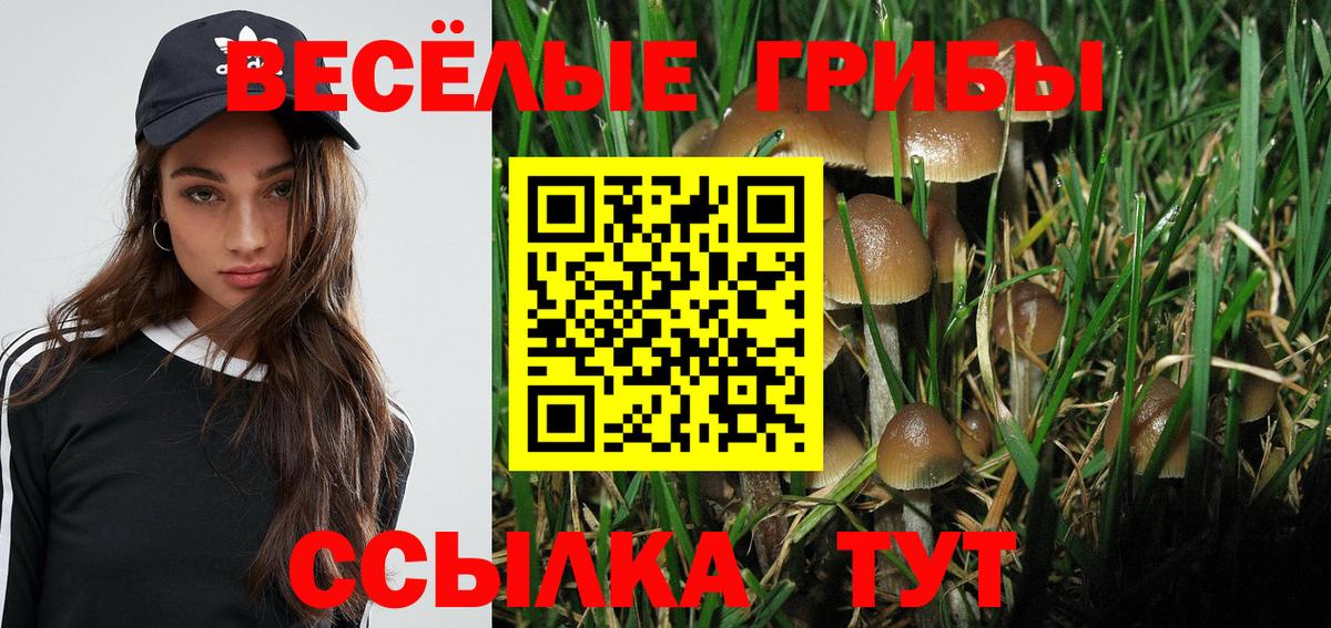 Псилоцибиновые грибы Magic Shrooms  Вход с VPN  Галлюциногенные грибы MAGIC MUSHROOMS  Будённовск 
